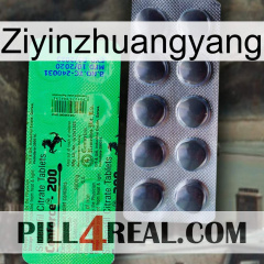Ziyinzhuangyang new04